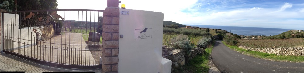 Su Camasinu